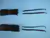 Vanilla Beans