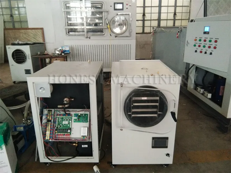 Professional Commercial Freeze Drying Machine / Freeze Dryer Price