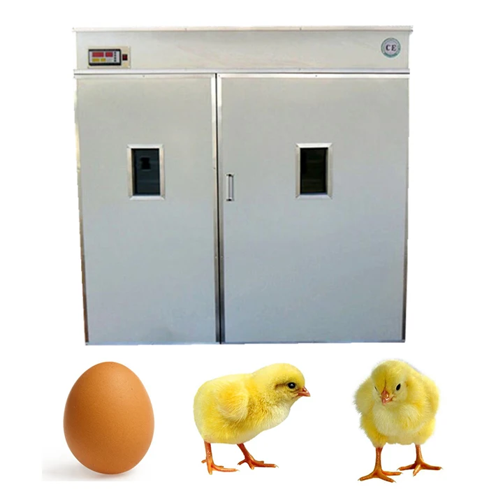 Egg Incubator3.jpg