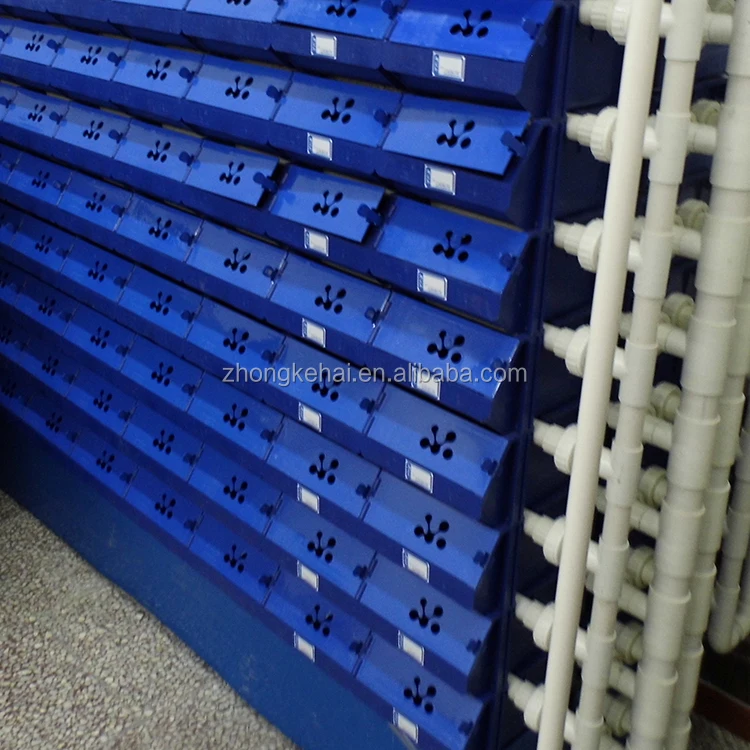 
mud crab buyer, blue crab, crab stick 