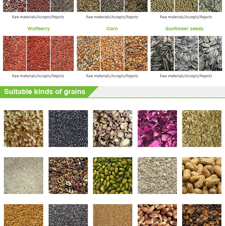 nut processing machine