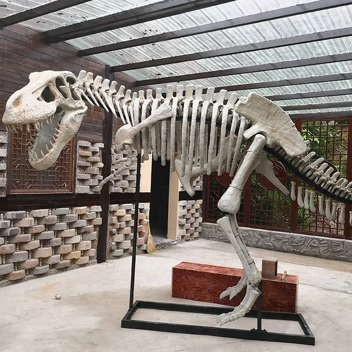 

decoration life size realistic dinosaur skeleton for sale, Original or customized