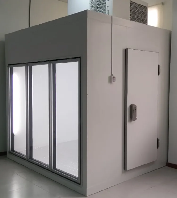 Heated swing glass door manufacturer for display cold & freezer room-SHHAG