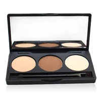 

3 Colors Eyebrow Power Long Lasting Eyebrow Powder Cosmetics with Brush