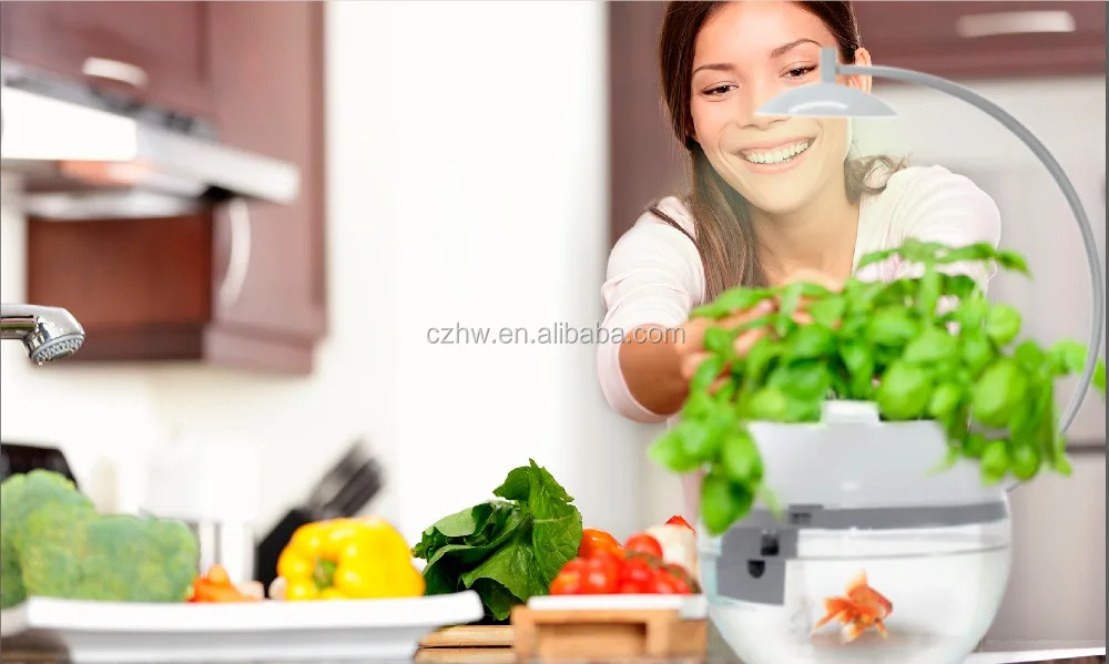 
Premium gift fish tank and herb symbiosis Herb & Fish X 