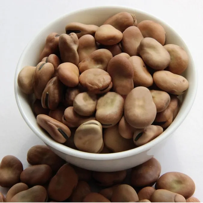 
Dried Broad Beans Fava Beans 