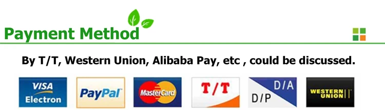 payment method_