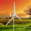1KW For Home Use or Factory FRP Blades Small Eolic Windmill Horizontal Axis Wind Turbine Generator
