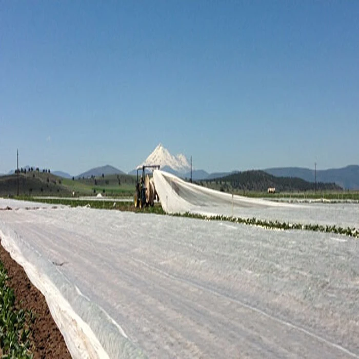 weed suppressing membrane stabilised nonwoven fabric weed control