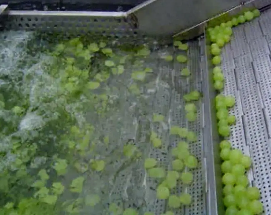 grape washing machine.jpg