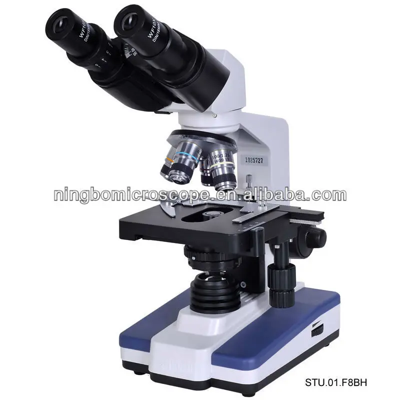 Stu.01.f8b&f8bh Elementary Binocular Student Microscope Buy Student