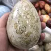 Wholesale Picture Jasper Stone Ben Wa Yoni Jade Eggs Vaginal Eggs Feng Shui for Decoration Crystal Gift hand made craft