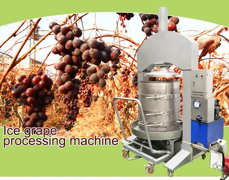 Hydraulic Juicer Press Machine Vegetable Juice Extractor Fruit Juicer Press Ice Grape Juice Making Machine Restaurant 0.8-1.5t/h