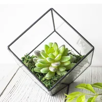 

Indoor Gardening Geometric Glass Terrarium Container Succulent Planter