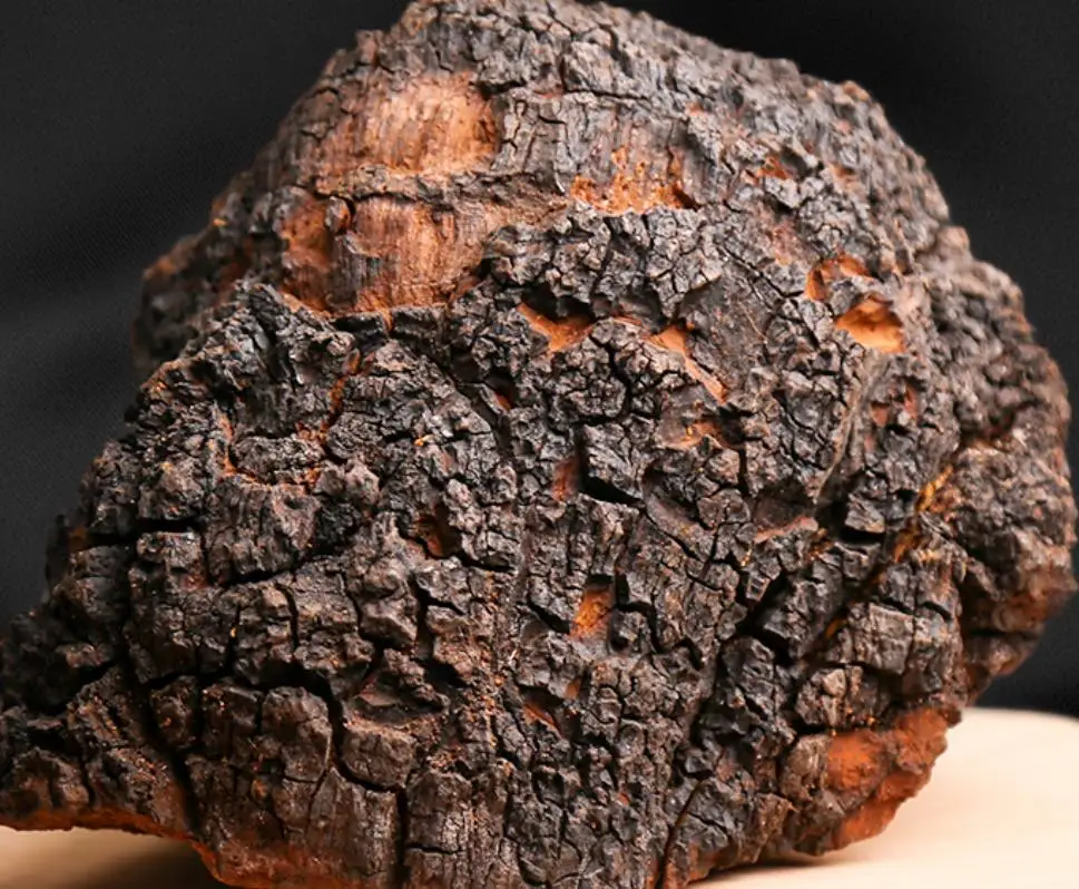 
Top superfood chaga tea help in fight against cancer 