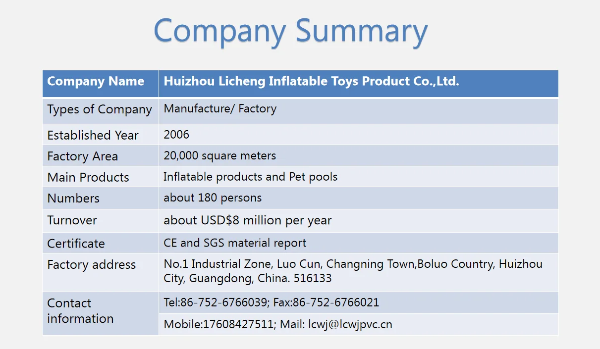 company summary