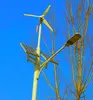 Hybrid solar wind power generator 300-500w generator street lights