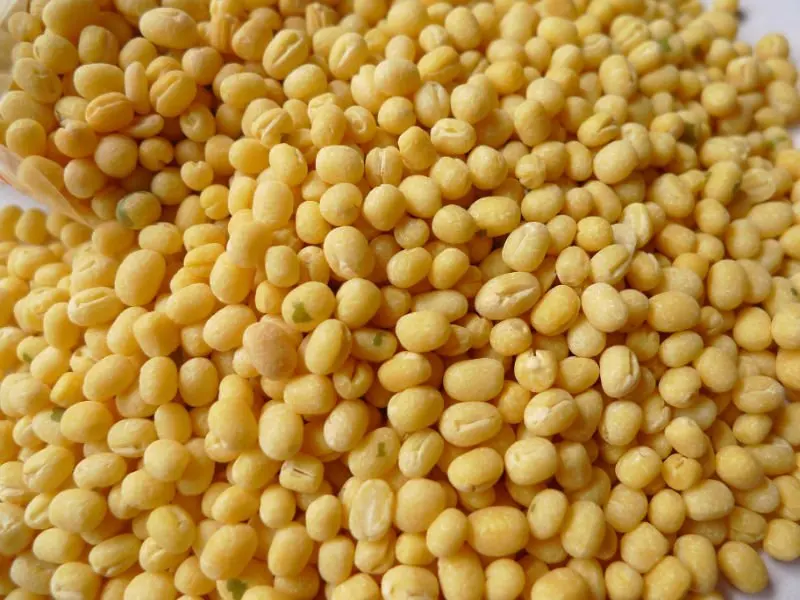 P1030151mung bean without skin.JPG
