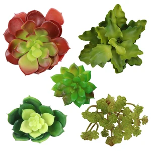 Image of Professional supply of Amazon Pack of 5 Artificial Succulent Plants