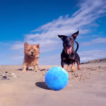 robot ball for dogs