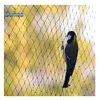 High strength HDPE agricultural grape anti bird protection screen mesh net with promotional price