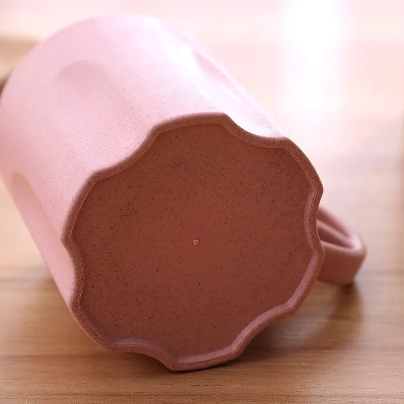  Bamboo Plastic Toothbrush Holder Water Bottle