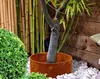 Corten Steel Planter Rings