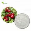 /product-detail/100-natural-arbutin-plant-extract-1729343751.html