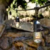 Outdoor decorative lighting globe bulb strings 48ft 15 sockets copper wire hot sale