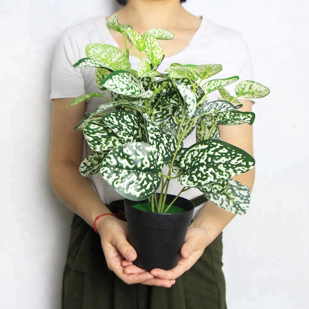 

Free shipping 25pcs/ctn life like foliage 35cm bonsai tree plants for shops decoration