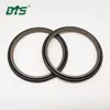 Single Acting Rubber Energized Plastic Faced Seal step seal for hydraulic sealing