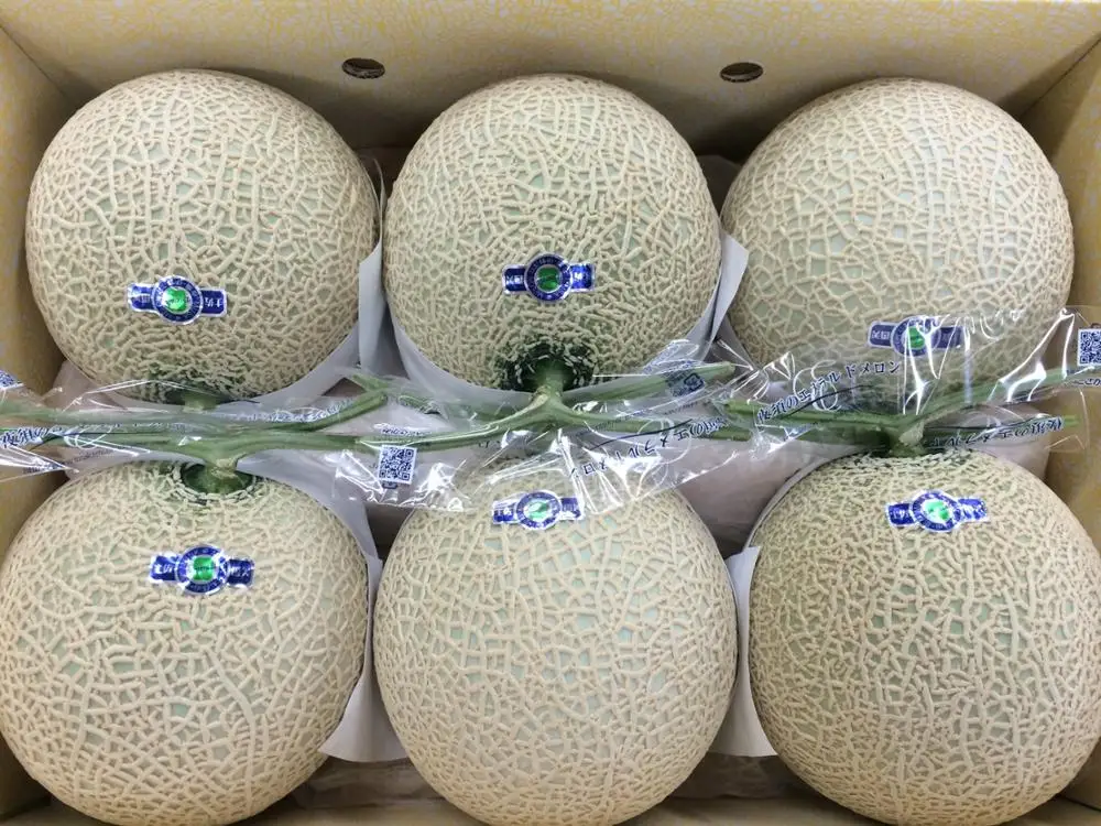 Best Quality Japan Best Quality Fruits Fresh Crown Melon Buy Melon