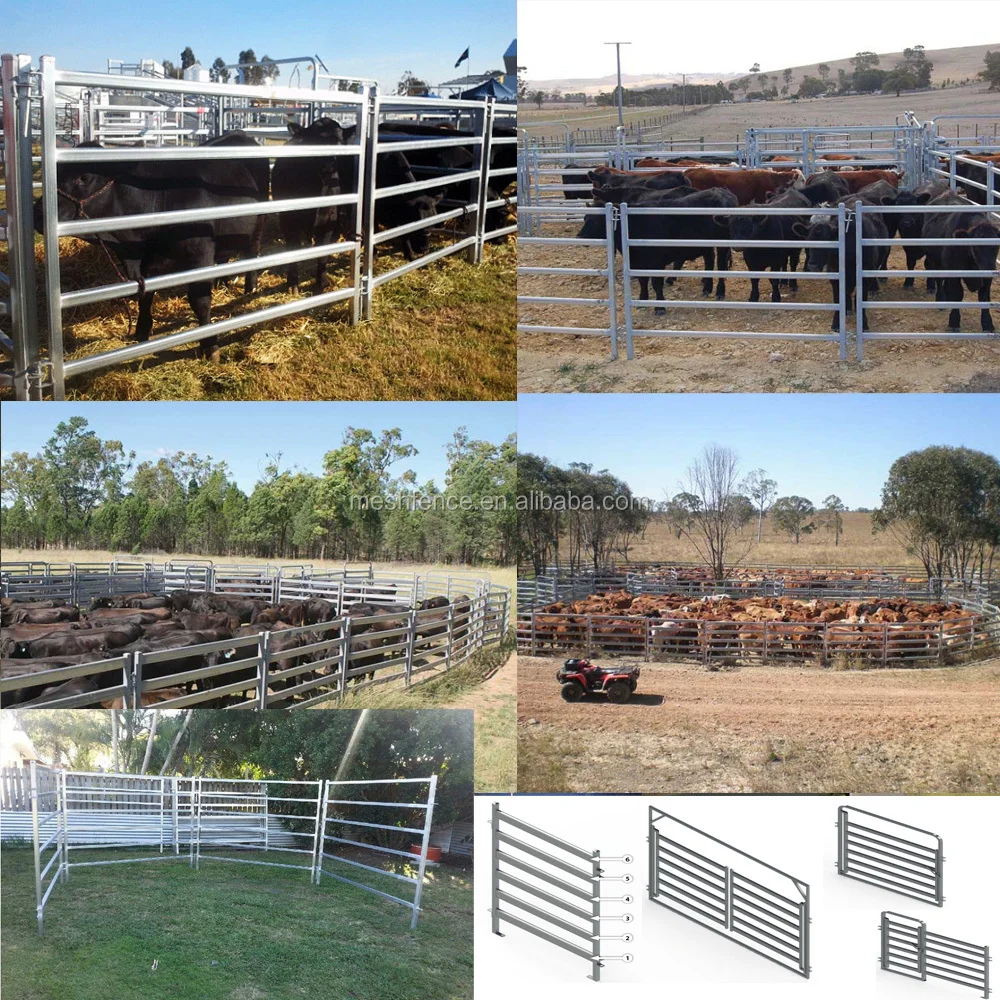 12ft Powder Coated Horse Corral Panels(direct Manufacturer) Buy