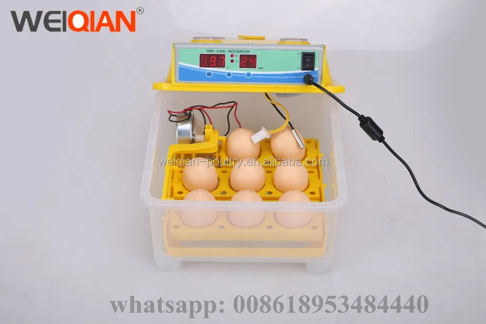 small bird egg incubator