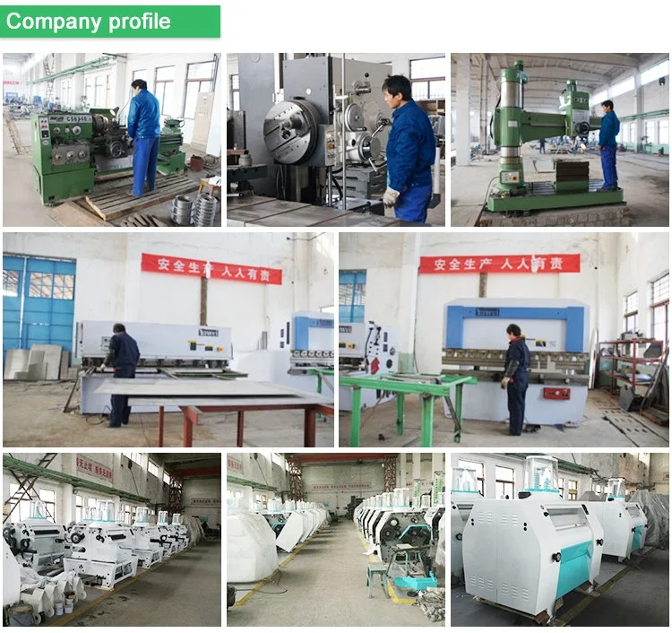 New design food grade 5-15 TD  maize  grinding milling machine/flour processing line