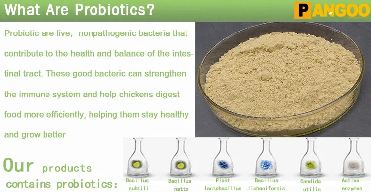 what are probiotic.jpg