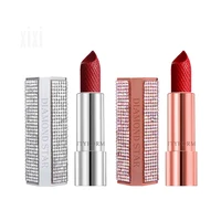 

Free Shipping Natural Non Toxic Waterproof lipstick High quality lipgloss long lasting matte lipstick