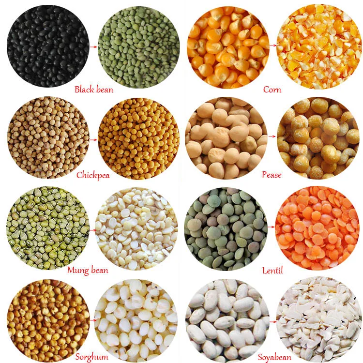 beans1.jpg