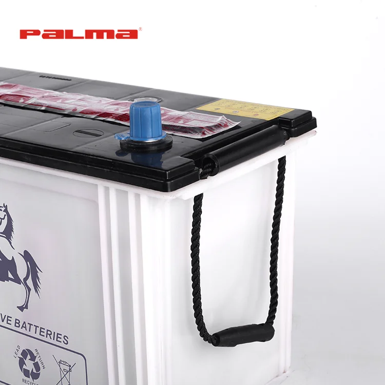 Guangdong Famous Trade Mark Din Dry Charged Battery,Dry Battery For