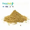 ISO Factory 50% FlavonoidsTartary Buckwheat Extract (Soba-Cha)
