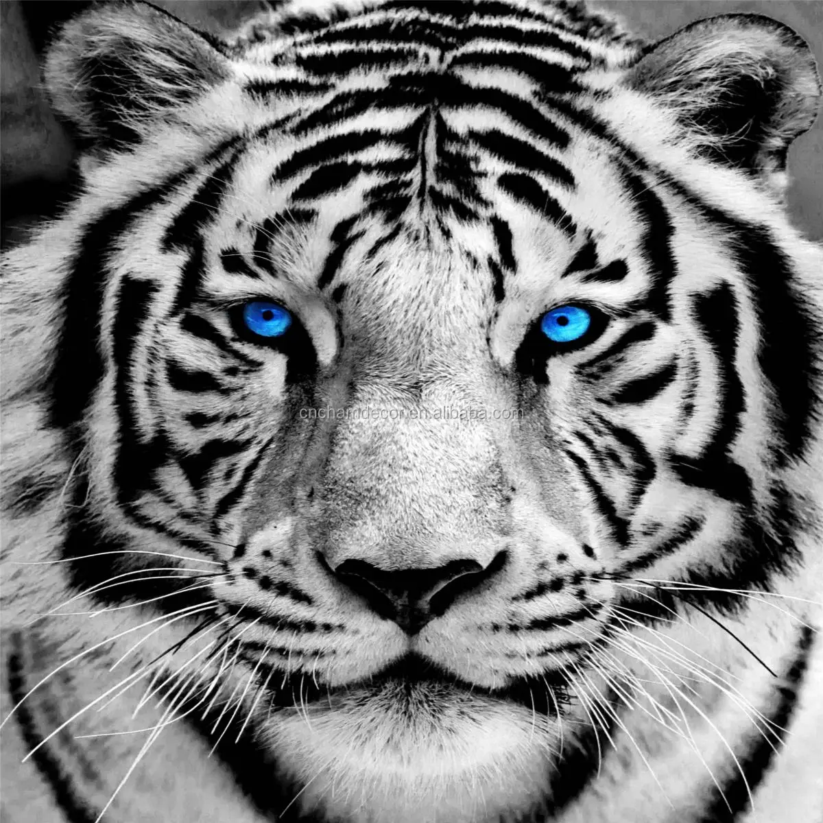 Tempered Glass Wall Art With Lion Design Painting Buy Tempered Glass