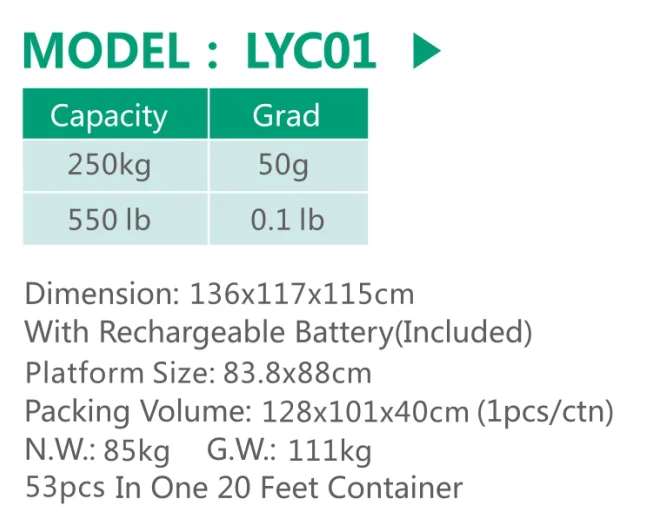 LYC01 "KinLee" Digital Wheelchair Platform Scale , Capacity=250kg / 550lb , Grad=50g / 0.1lb for Hospital Use