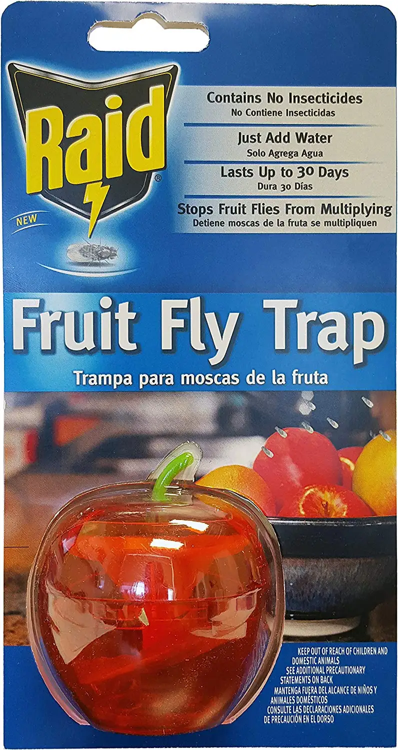 Raid fruit. Fruit Fly Trap. Fruit Fly перевод. Trap Fruit. Jackson Fruit Fly Trap.