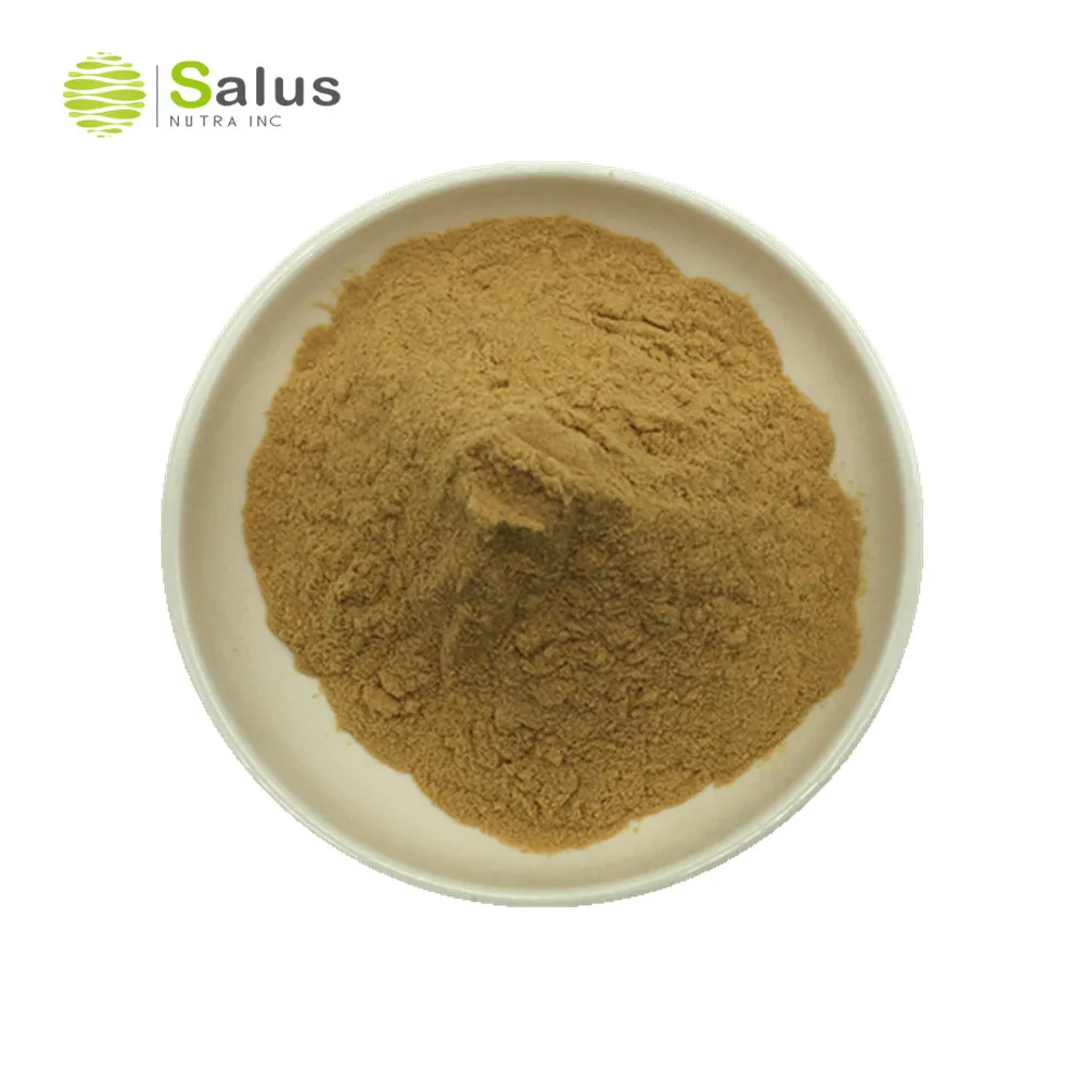 Green coffee extract for weight loss review