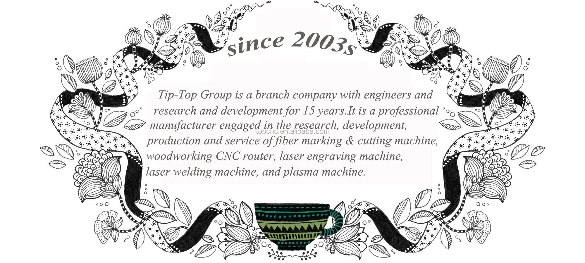 fiber laser marking machine TIP-TOP.jpg