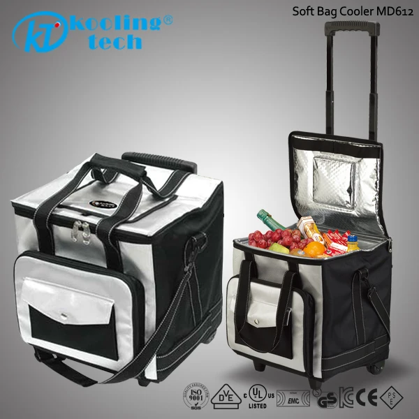 Travel Freezer Bag Whole Cooler Cooling Box In Car Travel Freezer Bag Whole Cooler Cooling Box In Car