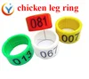 /product-detail/wholesale-low-price-plastic-poultry-chicken-pigeon-bird-leg-ring-60708938128.html
