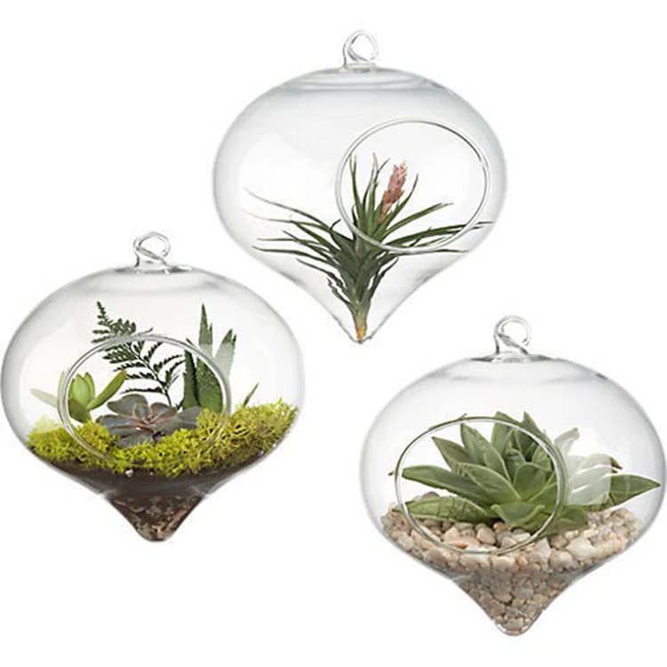 

Borosilicate Decorative Custom Glass Terrarium Hanging Air Planter Vase, Clear