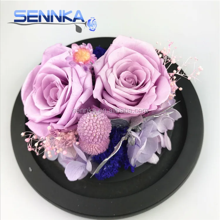 roses preserved in glass