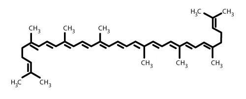 chinese manufacturer natural lycopene powder 6% price